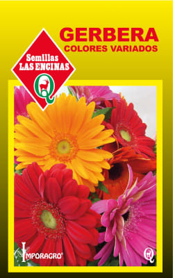 GERBERA COLORES VARIADOS