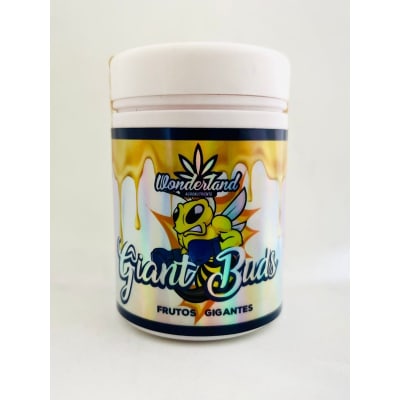 GIANT BUDS - WONDERLAND
