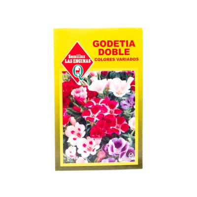 GODETIA COLORES VARIADOS