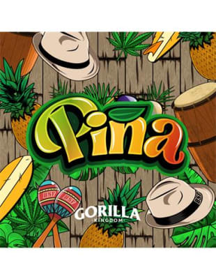 GORILLA PIÑA FEMINIZADA X4 - BSF SEEDS
