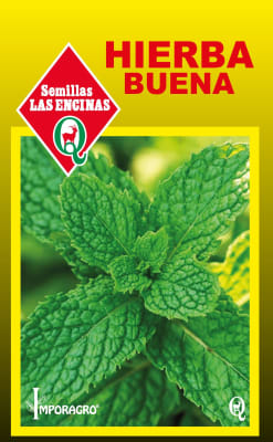 HIERBA BUENA
