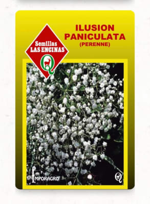 ILUSION DE LOS FLORISTAS