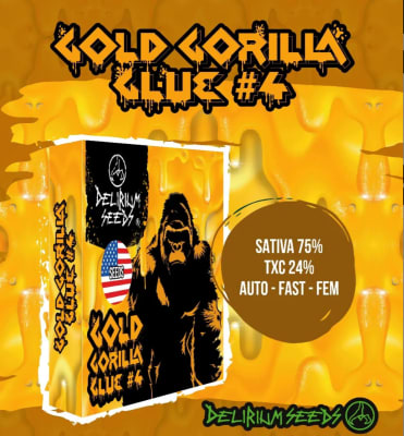 GOLD GORILLA GLUE #4 FAST VERSION X4 - DELIRIUM SEEDS