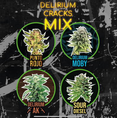 MIX DELIRIUM CRACKS FAST VERSION X4 - DELIRIUM SEEDS