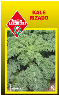 KALE RIZADO