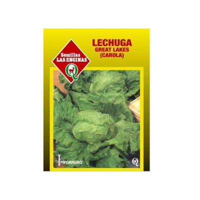 LECHUGA GREAT LAKES (CAROLA)