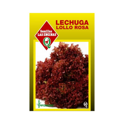 LECHUGA LOLLO ROSA