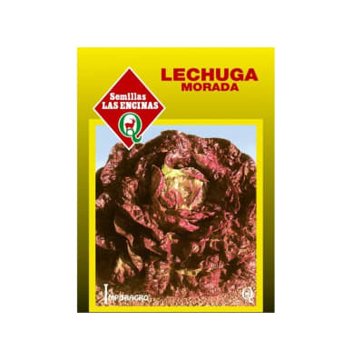 LECHUGA MORADA