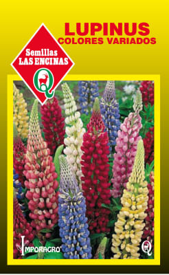 LUPINUS COLORES VARIADOS