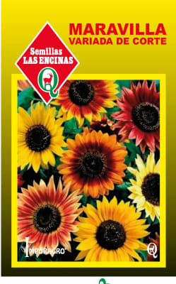 MARAVILLA VARIADA DE CORTE