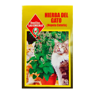 HIERBA DEL GATO (NEPETA CATARIA)