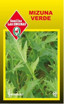 MIZUNA VERDE1