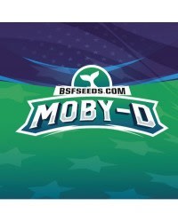 MOBY D XXL AUTO X4 - BSF SEEDS