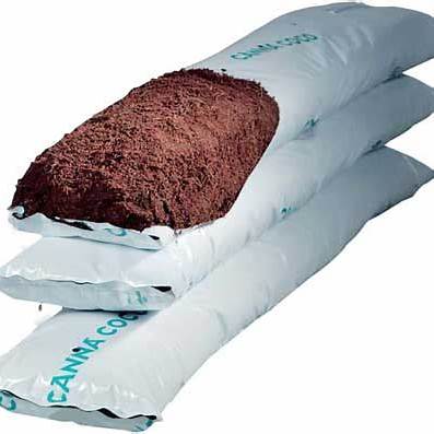 COCO SLAB CANNA