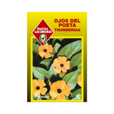 OJOS DEL POETA THUNBERGIA