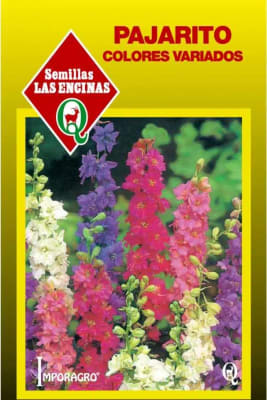 PAJARITO COLORES VARIADOS1