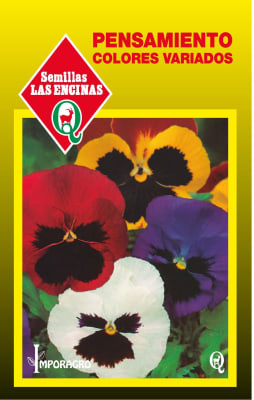 PENSAMIENTO COLORES VARIADOS