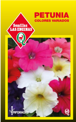 PETUNIA COLORES VARIADOS