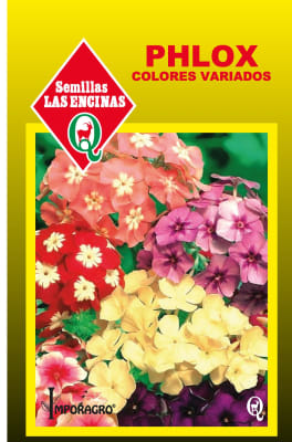 PHLOX COLORES VARIADOS