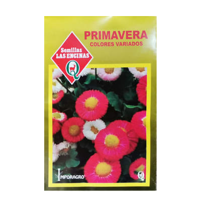 PRIMAVERA COLORES VARIADOS