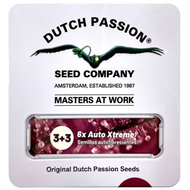 XTREME AUTO X3+3-DUTCH PASSION