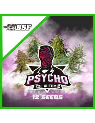 PSYCHO XXL AUTO MIX X12 - BSF SEEDS