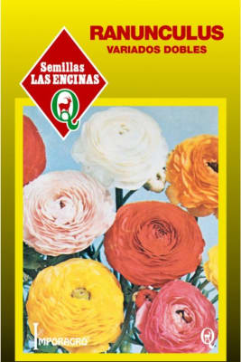 RANUNCULUS VARIADOS DOBLES