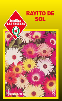 RAYITO DE SOL