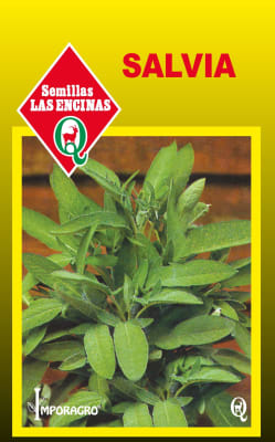 SALVIA