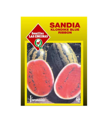 SANDIA KLODIKE BLUE RIBBON