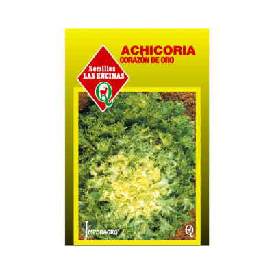 ACHICORIA CORAZON DE ORO1