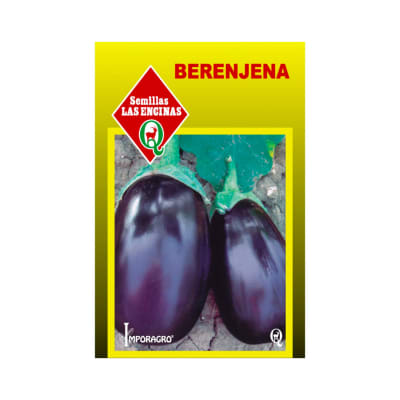 BERENJENA
