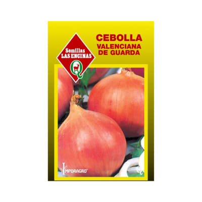 CEBOLLA VALENCIANA DE GUARDA1