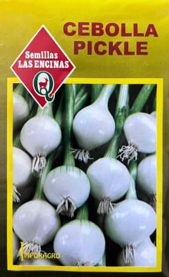 CEBOLLA PICKLE