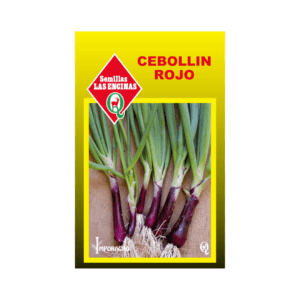CEBOLLIN (ROJO)