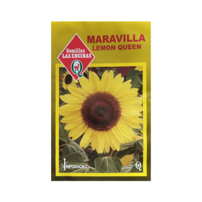 MARAVILLA LEMON QUEEN