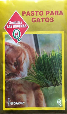 PASTO PARA GATOS