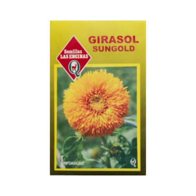 GIRASOL SUNGOLD1