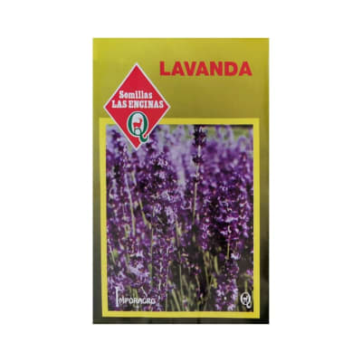 LAVANDA