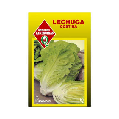 LECHUGA COSTINA