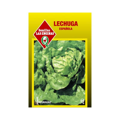 LECHUGA ESPAÑOLA