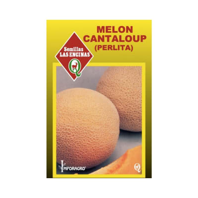 MELON PERLITA