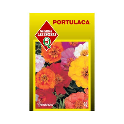 PORTULACA