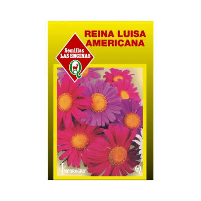 REINA LUISA AMERICANA COLORES VARIADOS