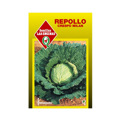 REPOLLO CRESPO MILAN