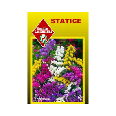 STATICE COLORES VARIADOS