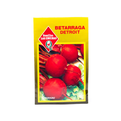 BETARRAGA DETROIT