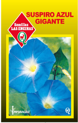 SUSPIRO AZUL GIGANTE