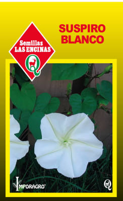 SUSPIRO BLANCO