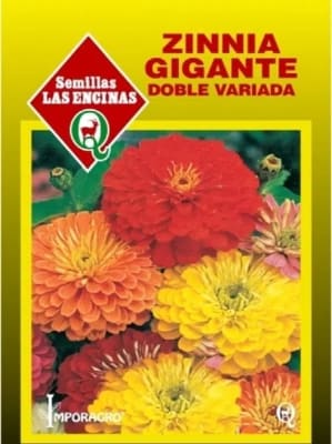 ZINNIA GIGANTE DOBLE VARIADA